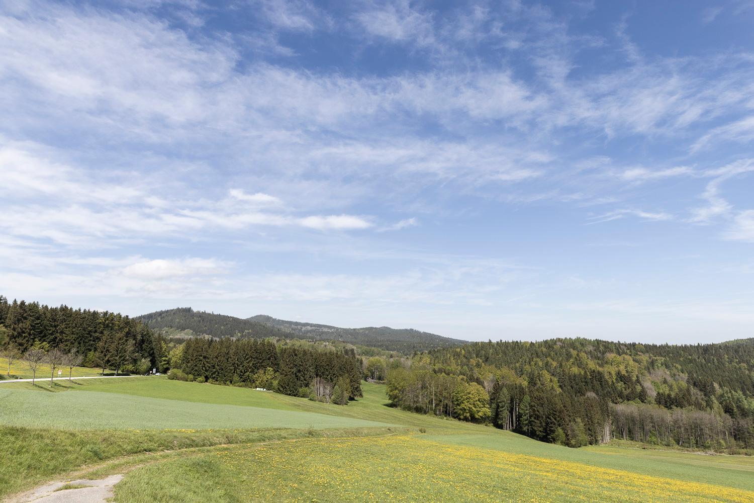 Apartman Manuel Horní Planá Exteriér fotografie